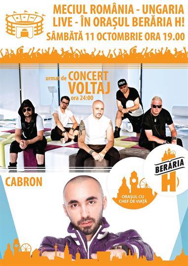 Concert Meciul Romania - Ungaria Live & Concert Voltaj, sâmbătă, 11 octombrie 2014 19:00, Beraria H
